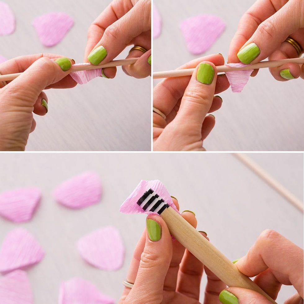 Ranunculus-Curling-Petals