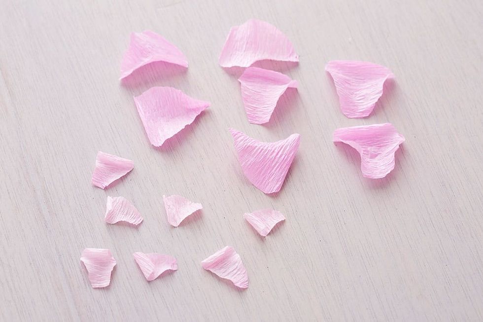 Ranunculus-Final-Petals