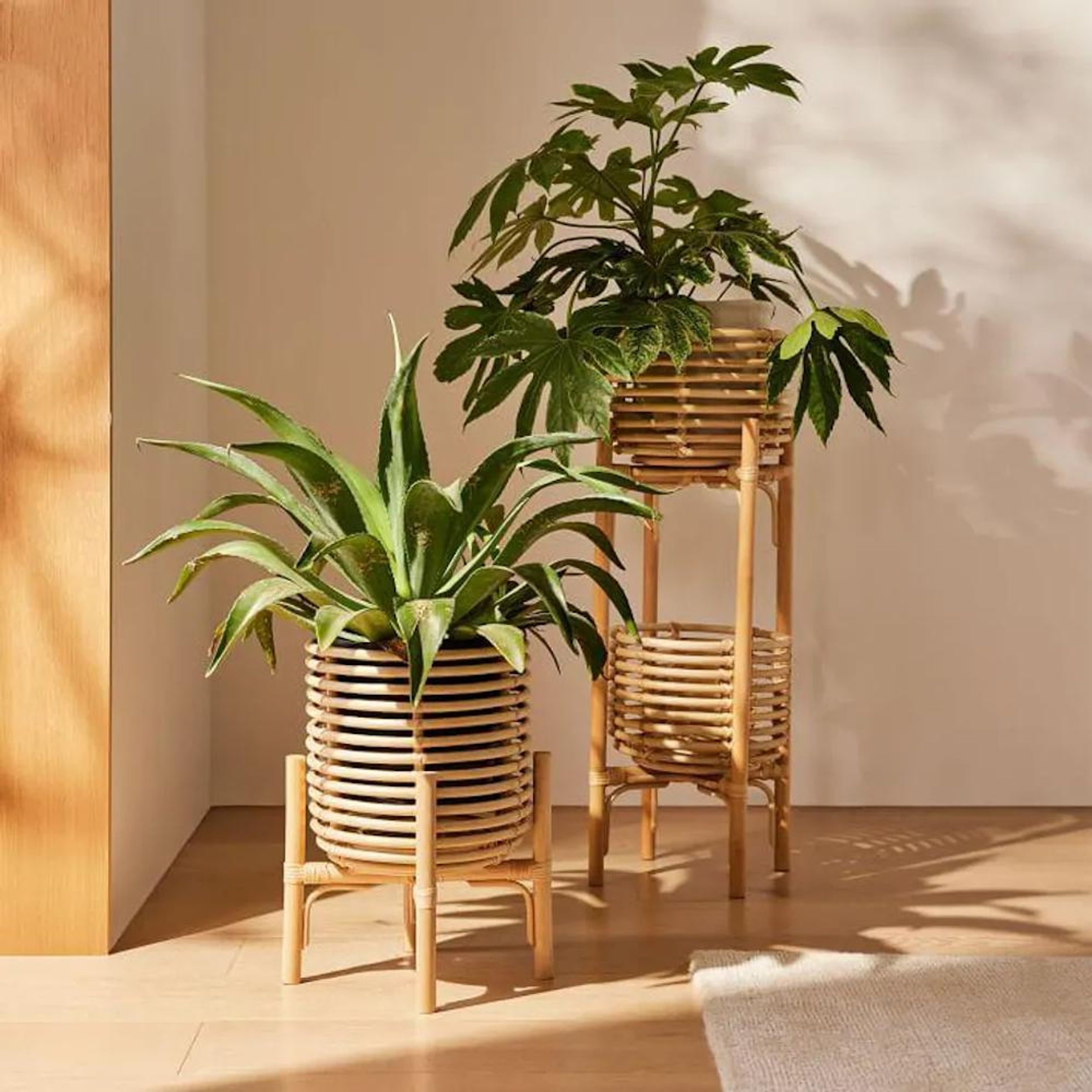 rattan and wicker furniture ideas planter