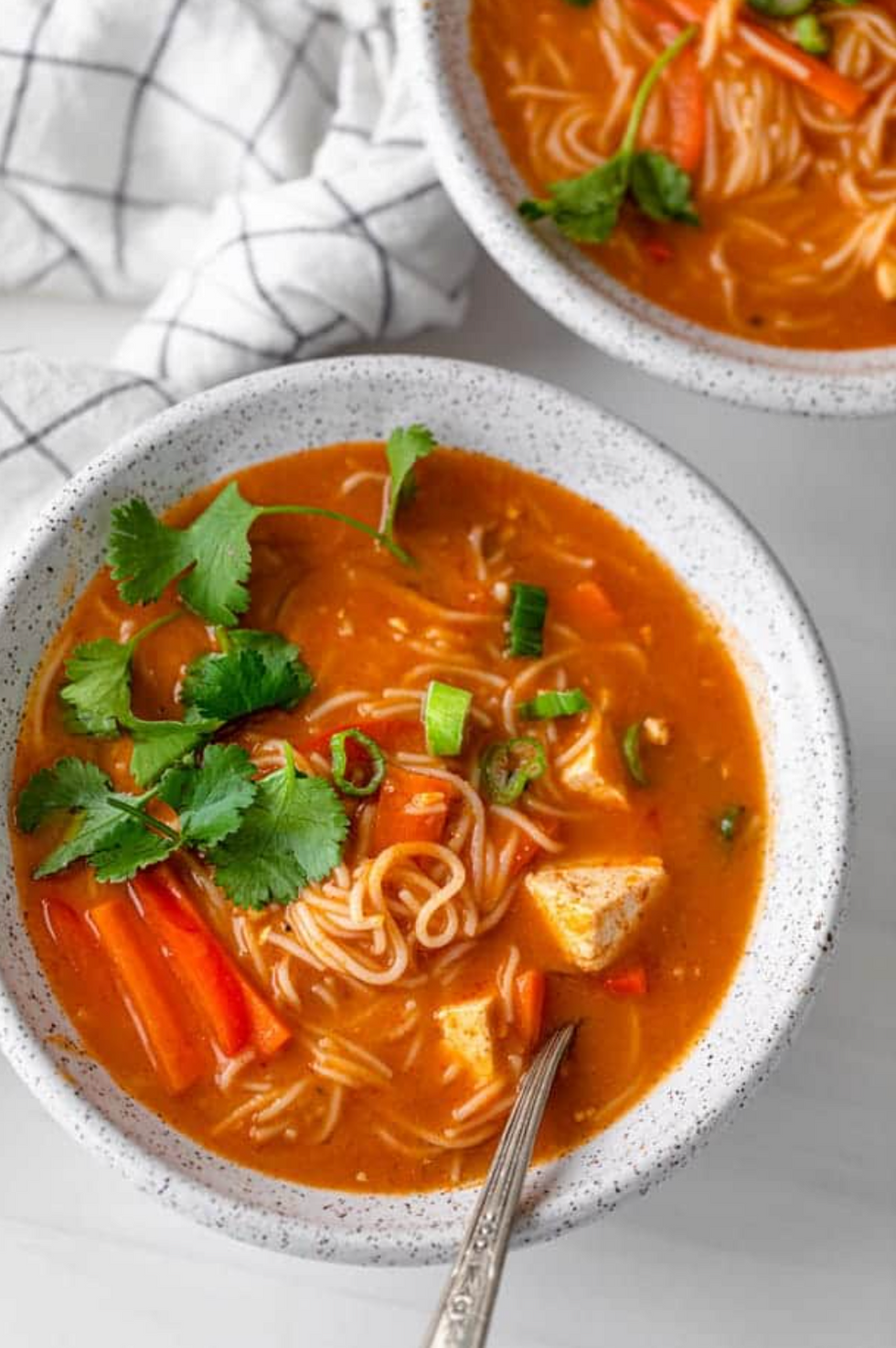 Red Curry Noodle vegan soup recipes