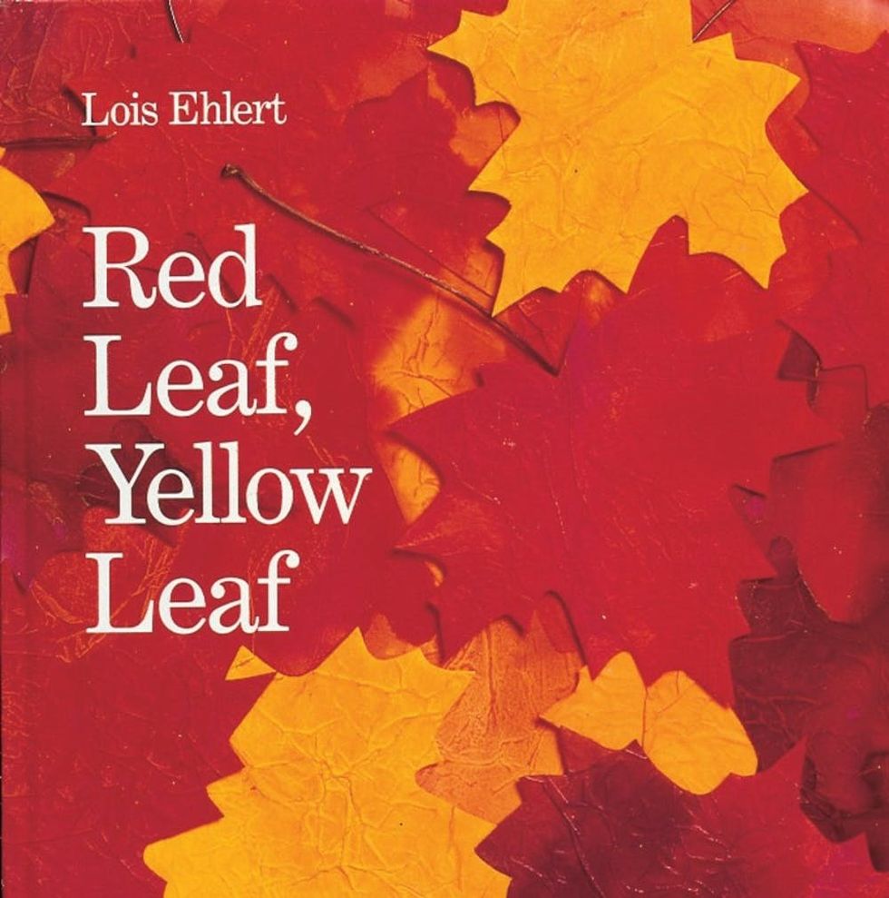 Red Leaf, Yellow Leaf by Lois Ehlert