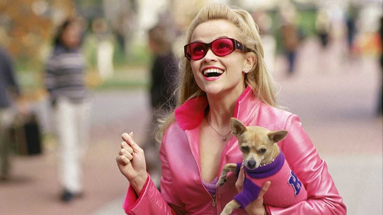 reese witherspoon legally blonde