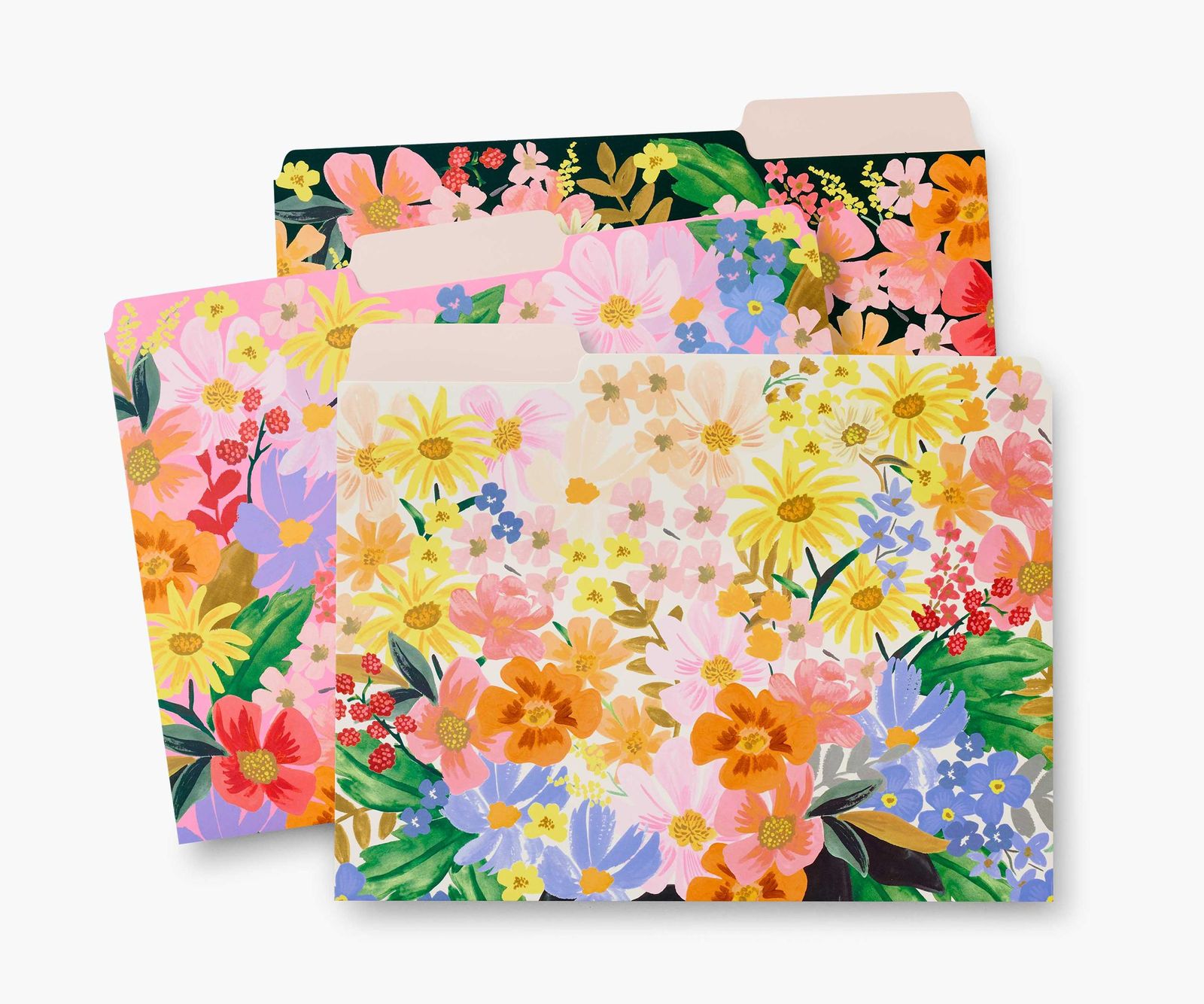 Rifle Paper Co. Assorted File Folders