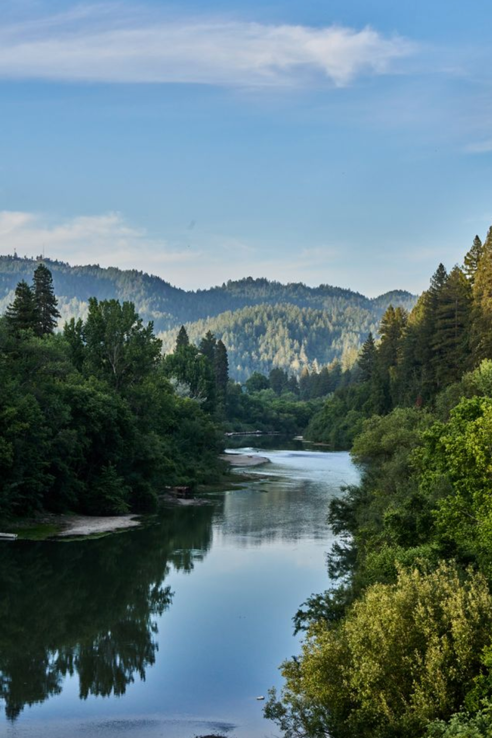 River winding through lush green forest under a clear blue sky.