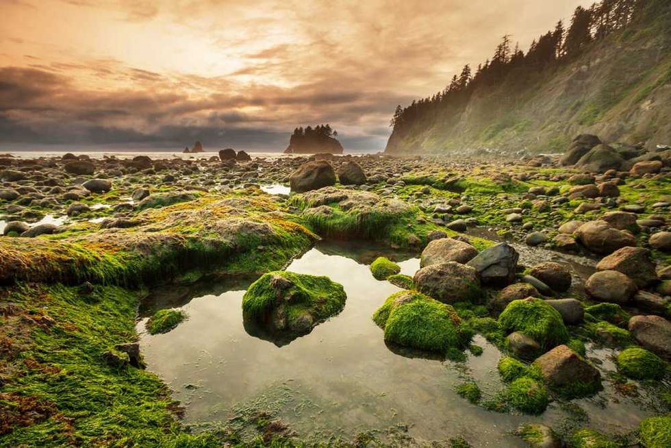 Rocky shoreline with green moss at sunset, serene sky, and distant sea stacks.