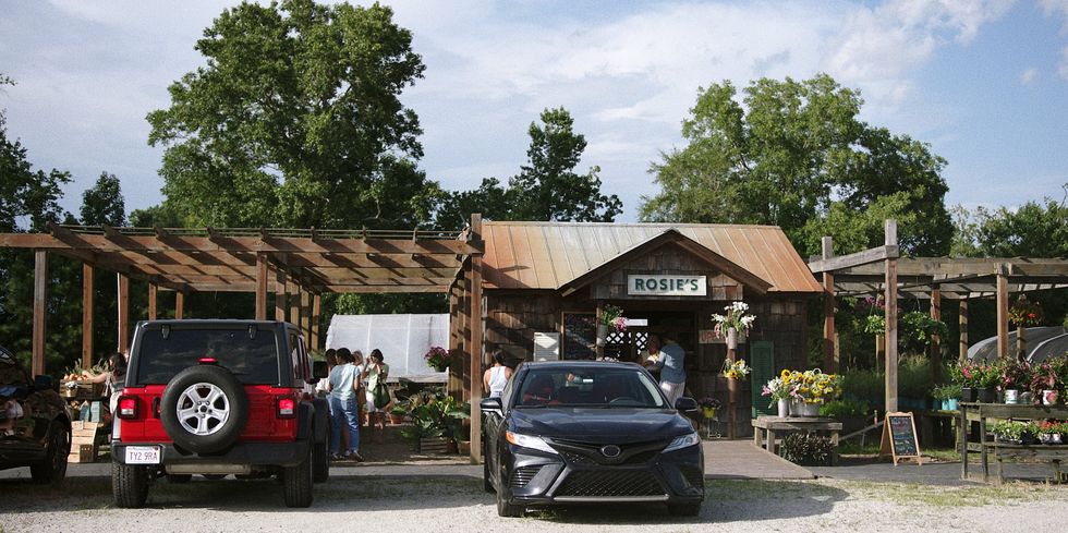 rosie's pie stand wilmington north carolina travel guide