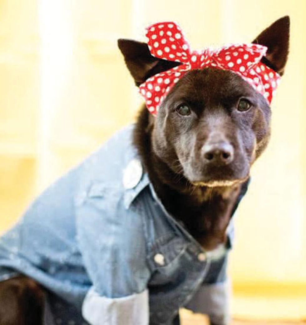 Rosie the Riveter pet costume