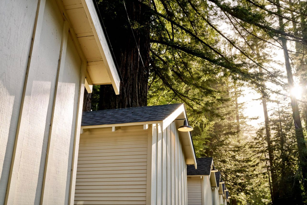 Row of cabins in forest with sunlight streaming through trees.