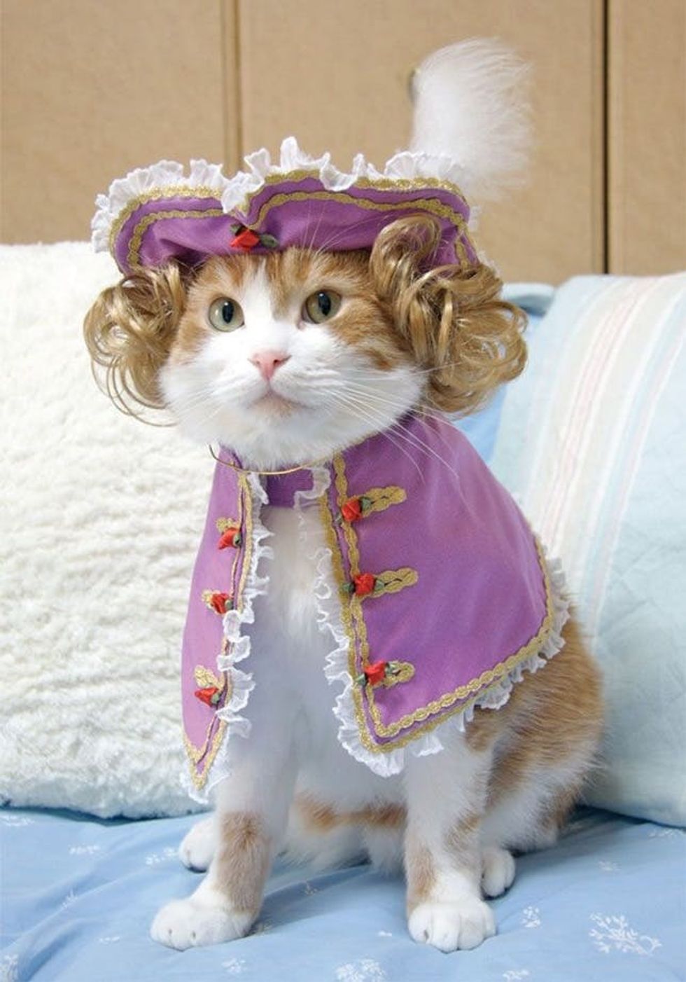 royal costume for cats
