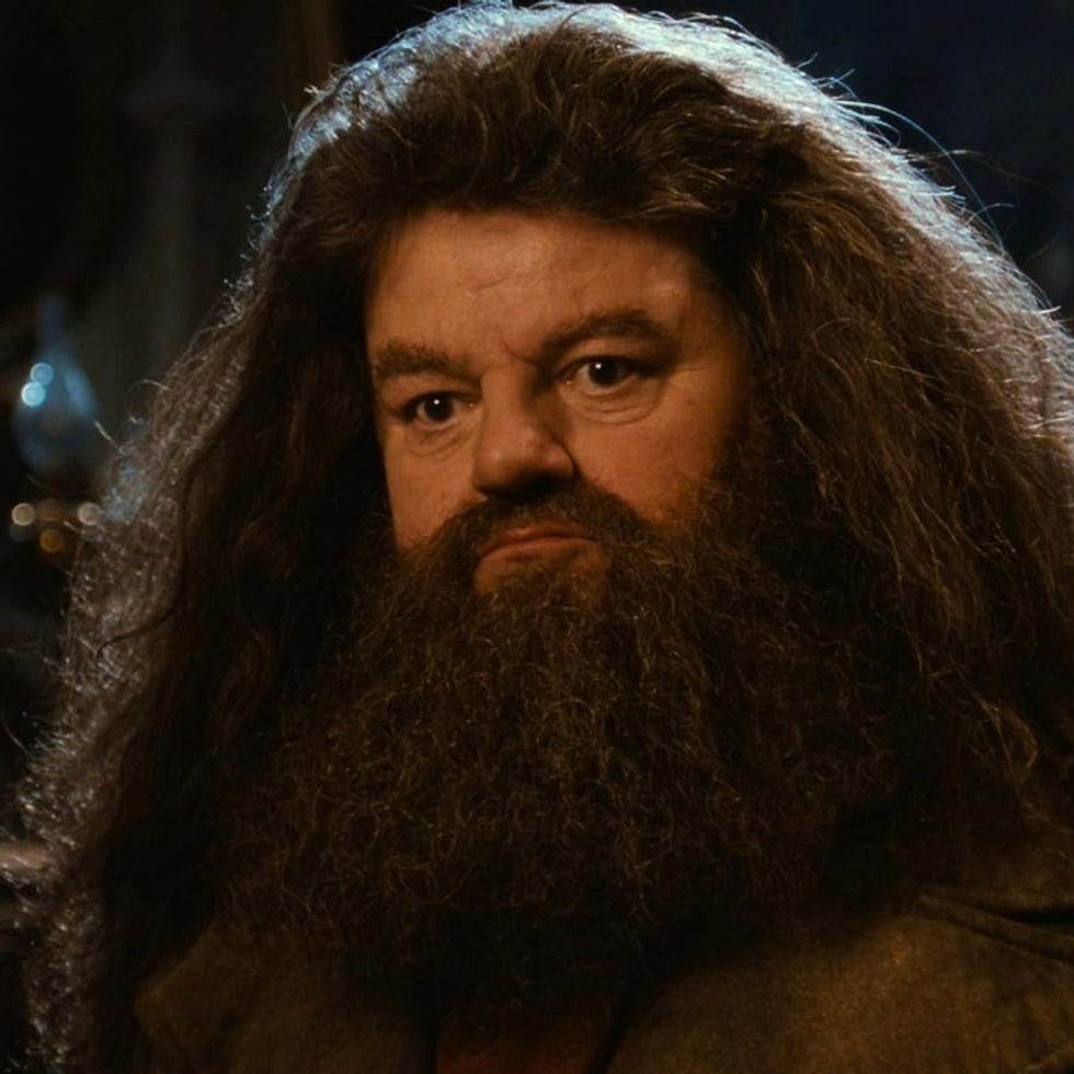 Rubeus Hagrid