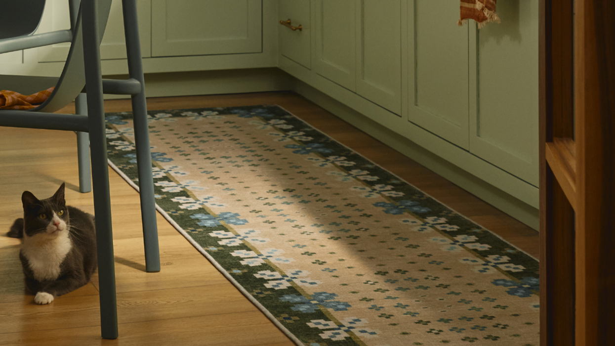 Ruggable Anthropologie Collection