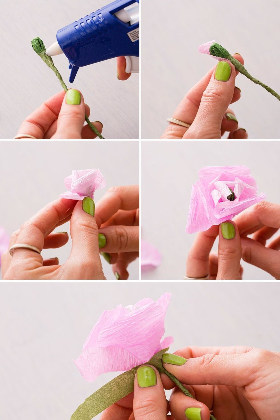 Rununclus-Petals-on-wire