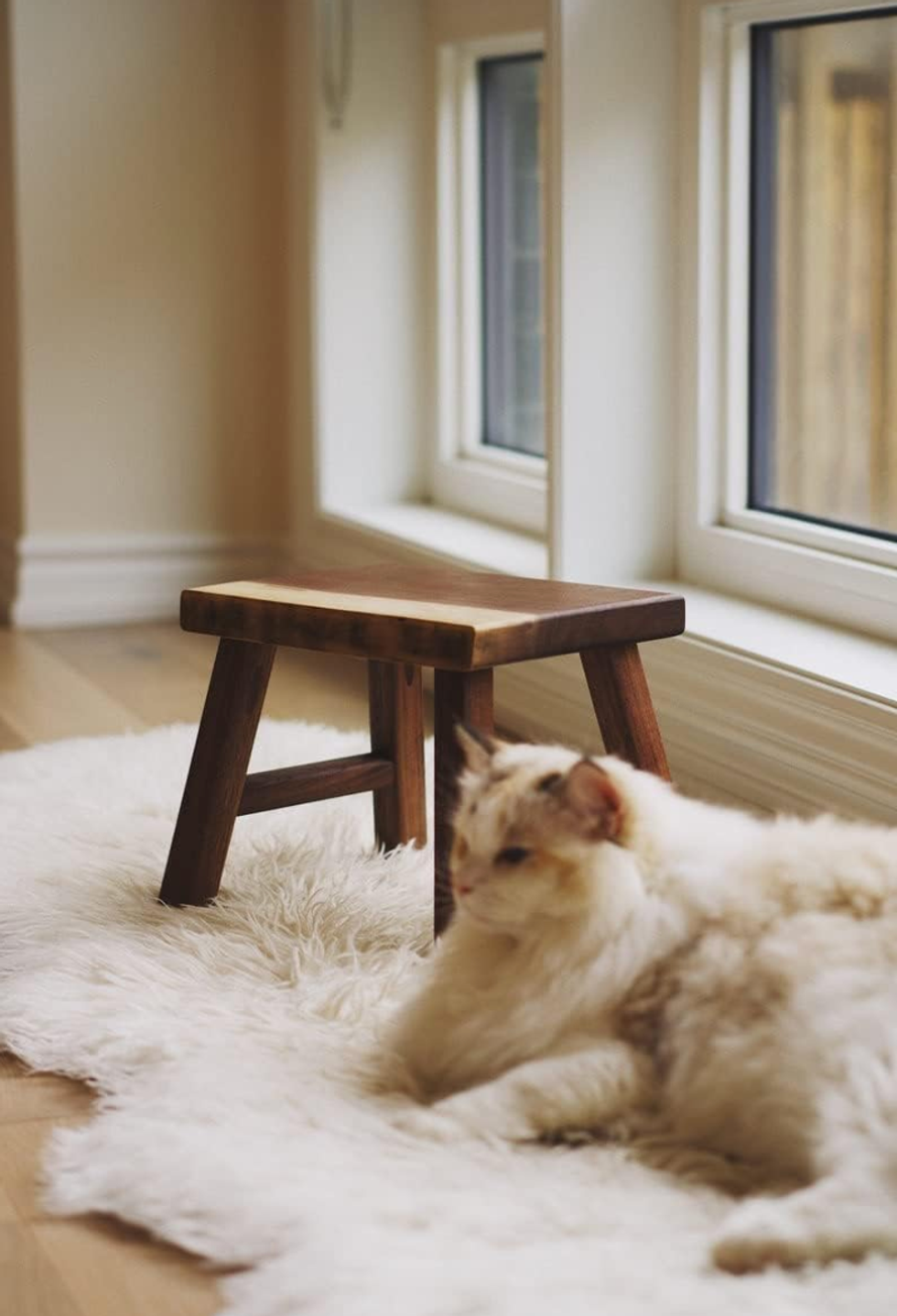Rustic Stool, Walnut