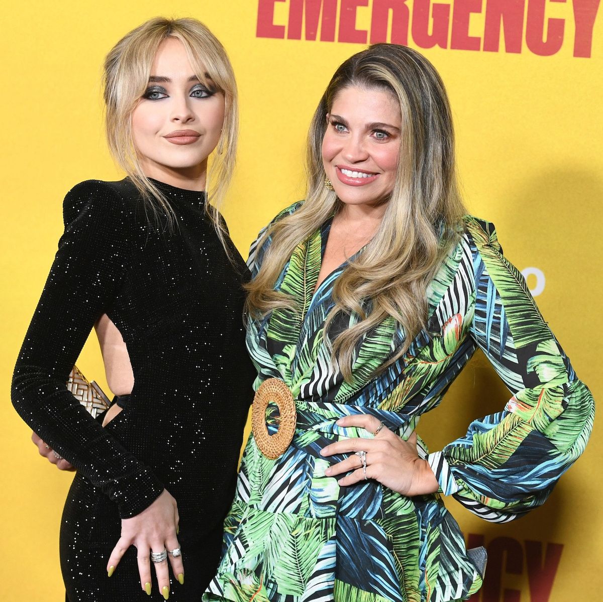 sabrina carpenter's concert danielle fishel corey fogelmanis