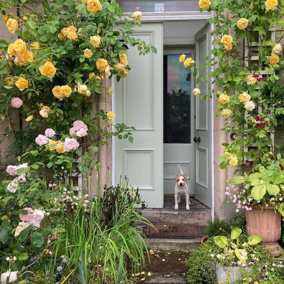 sage front door color