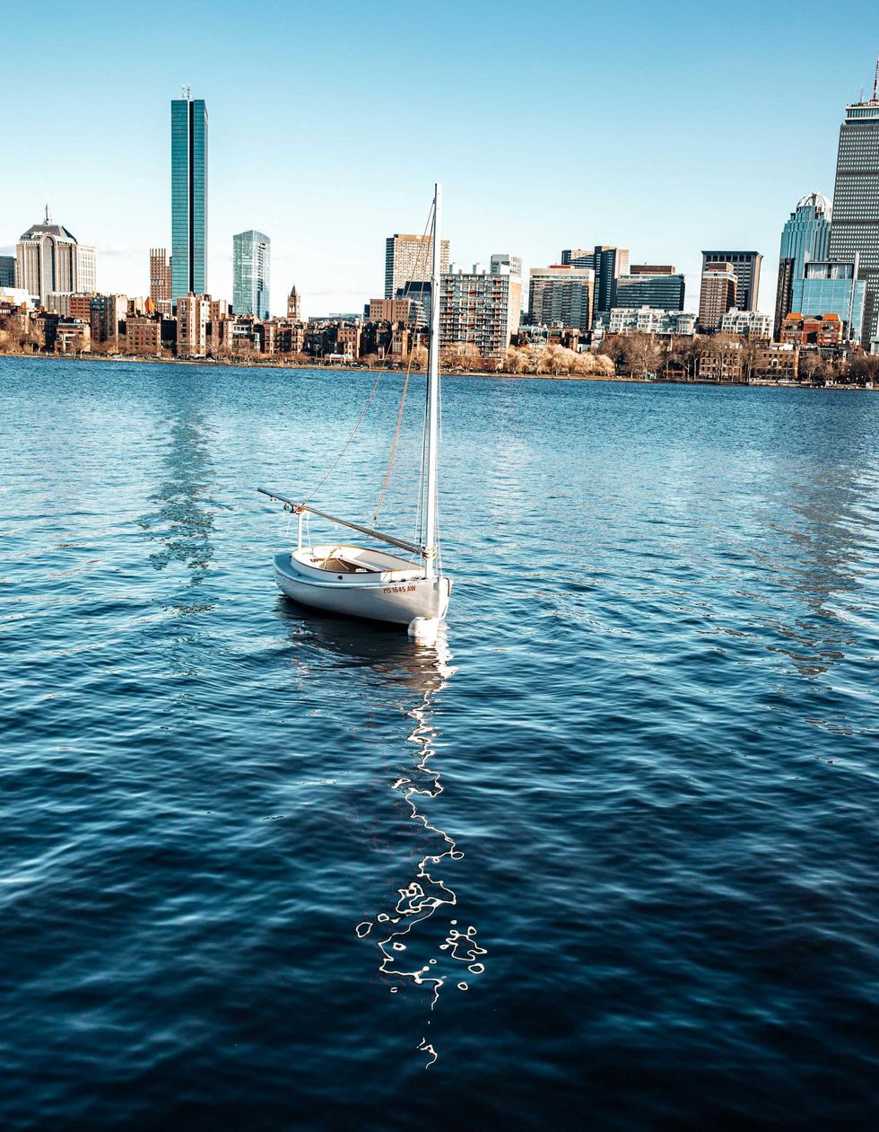 Sailboat on blue water with a city skyline under a clear sky.