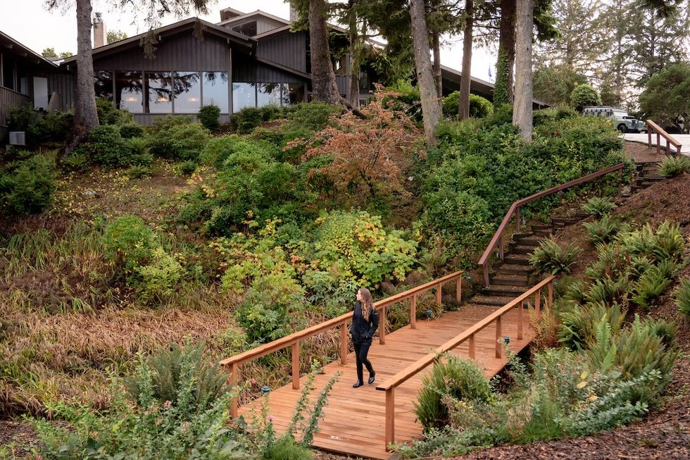 Salishan Coastal Lodge walking trails