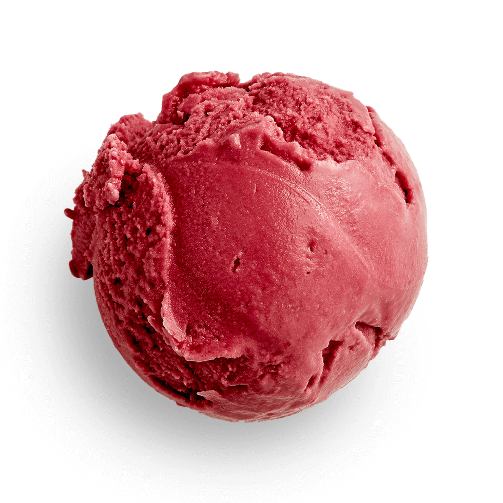 Salt & Straw Hibiscus & Coconut Sherbet