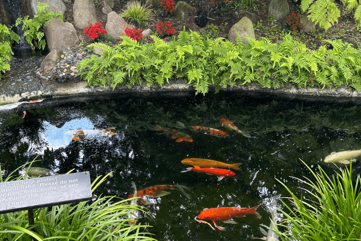 san diego meditation gardens