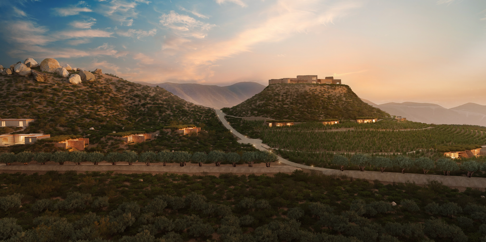 Scenic view of hilltop vineyard and buildings under a colorful sunset sky.