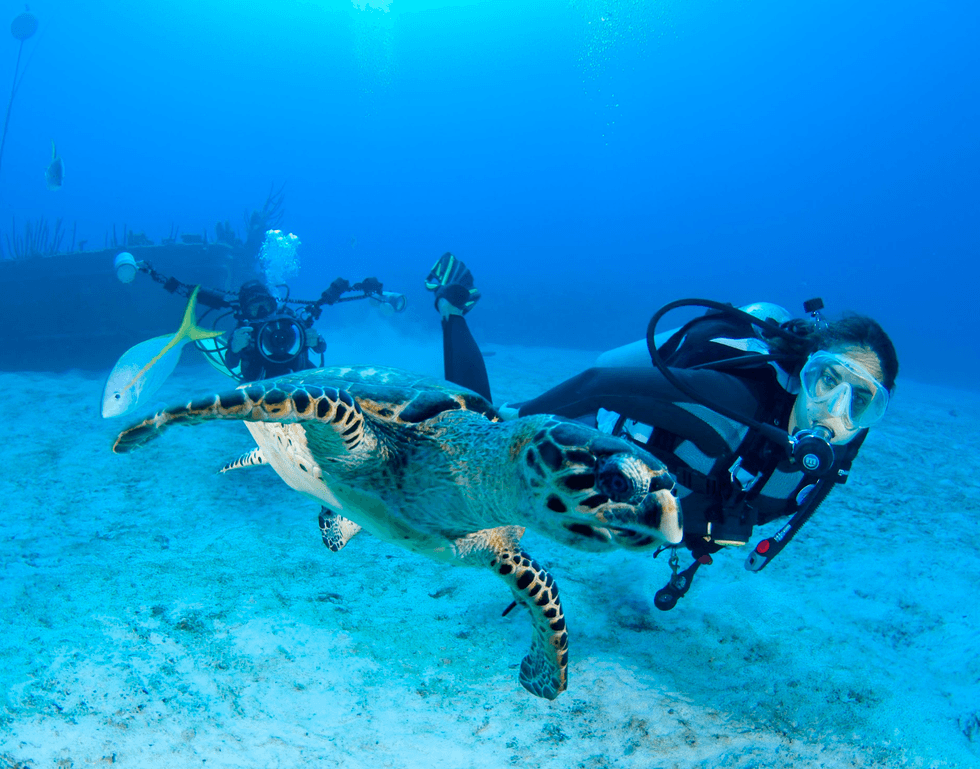 Scuba diver swimming with a sea turtle underwater, accompanied by a fish and photographer.