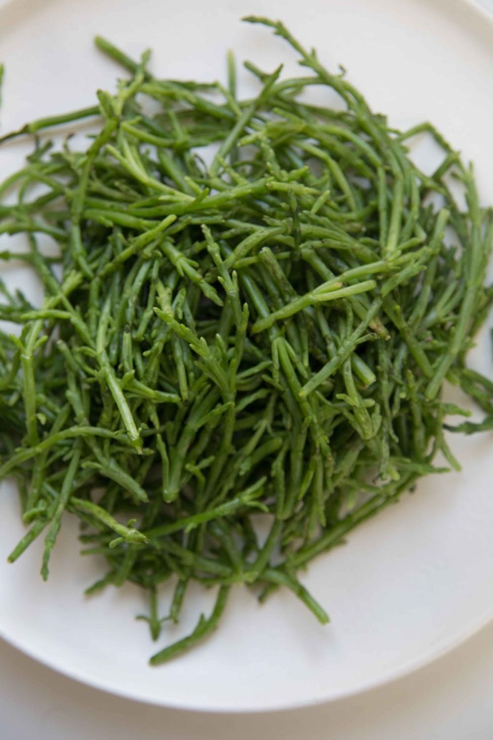 Sea Beans are an aquatic succulent.