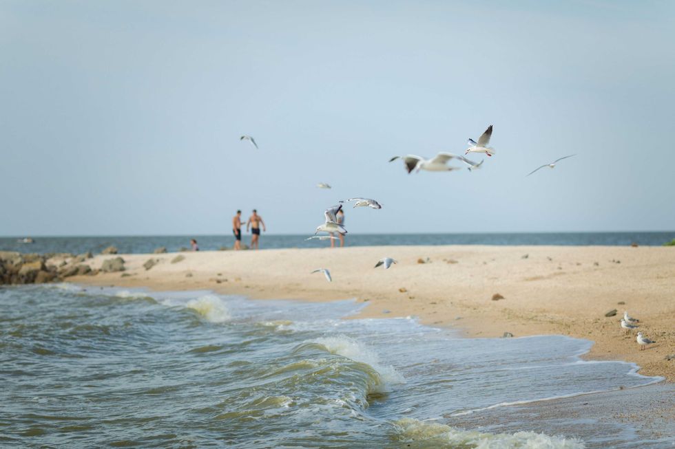 Seagulls flying over a sandy beach with two people walking near the ocean's edge.