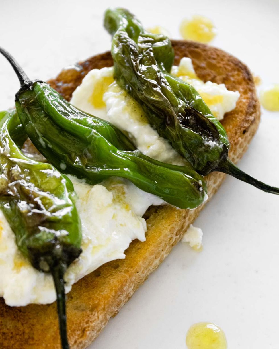 Shishito peppers with burrata on toast