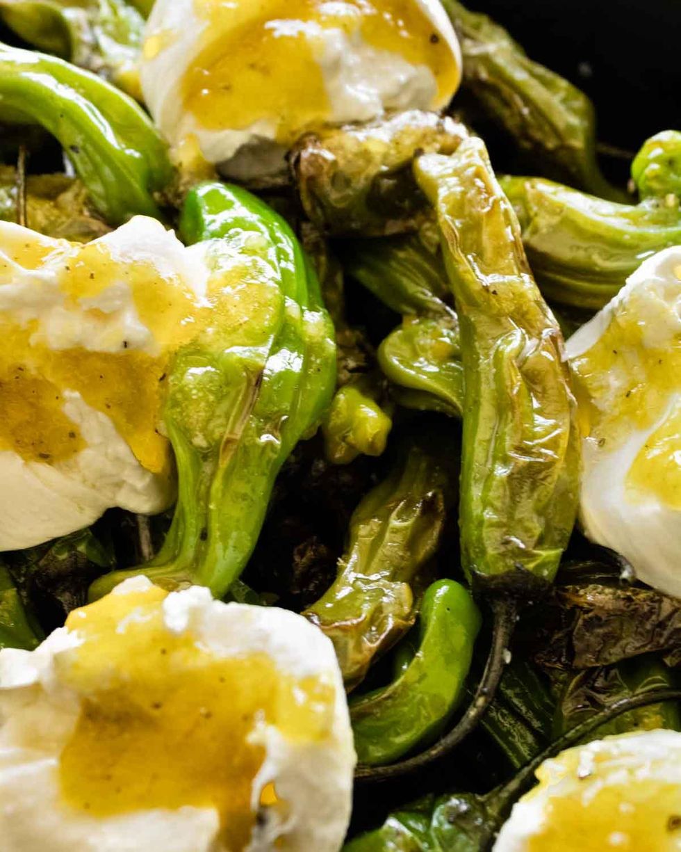 Shisito peppers with burrata
