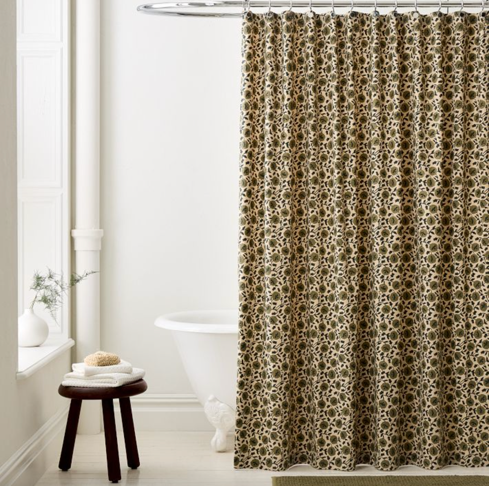 shower curtain