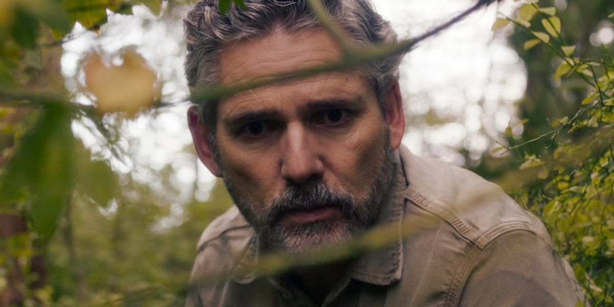 8 Shows Like 'Untamed' To Watch After You Binge Netflix's Thrilling #1 Crime Drama