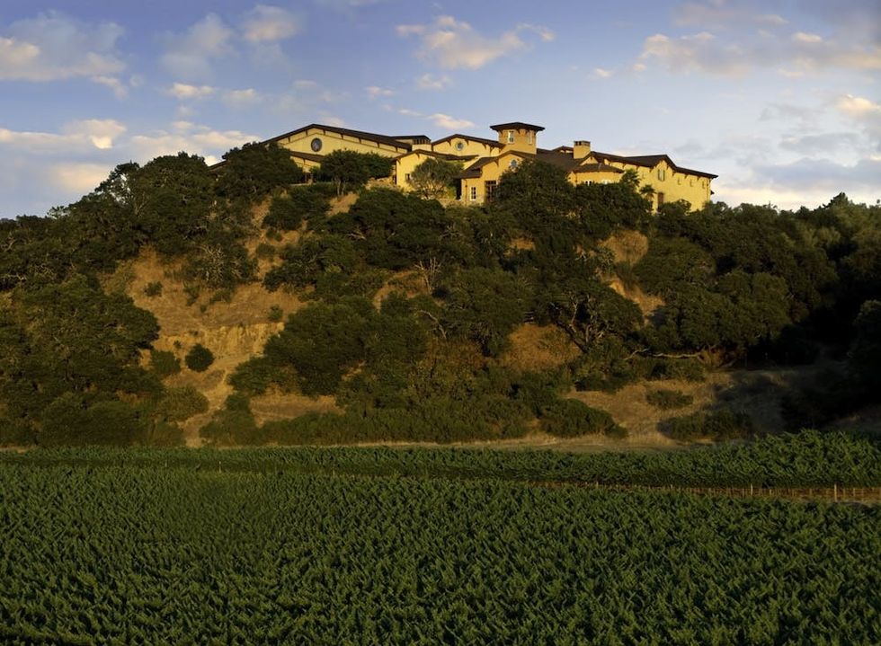Silverado Vineyards