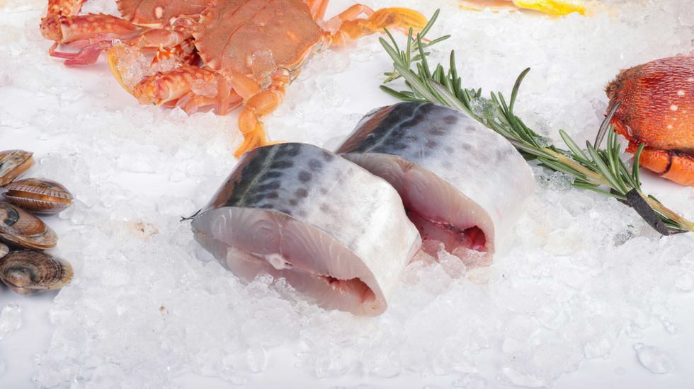 Slices of raw fish, clams, crab, and herbs on ice.