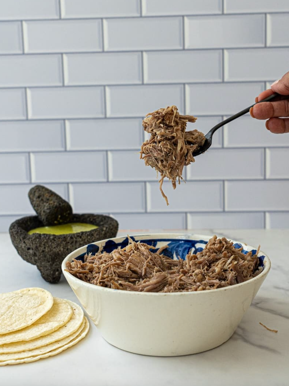 Slow cooker crockpot carnitas
