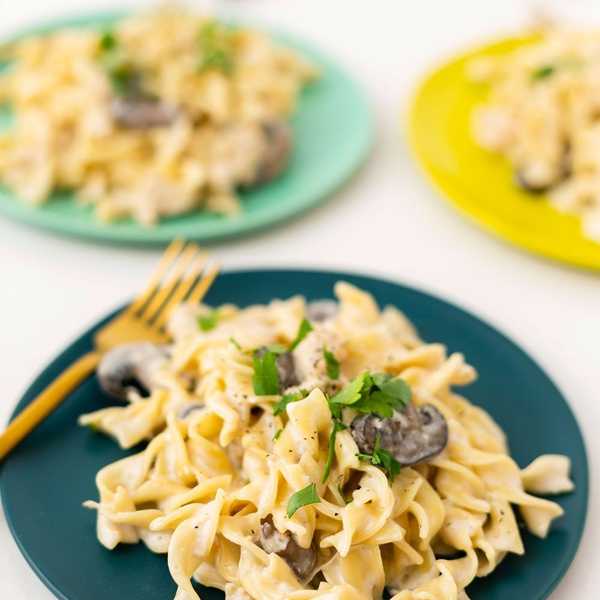 Slow-Cooker Recipe for Chicken Stroganoff