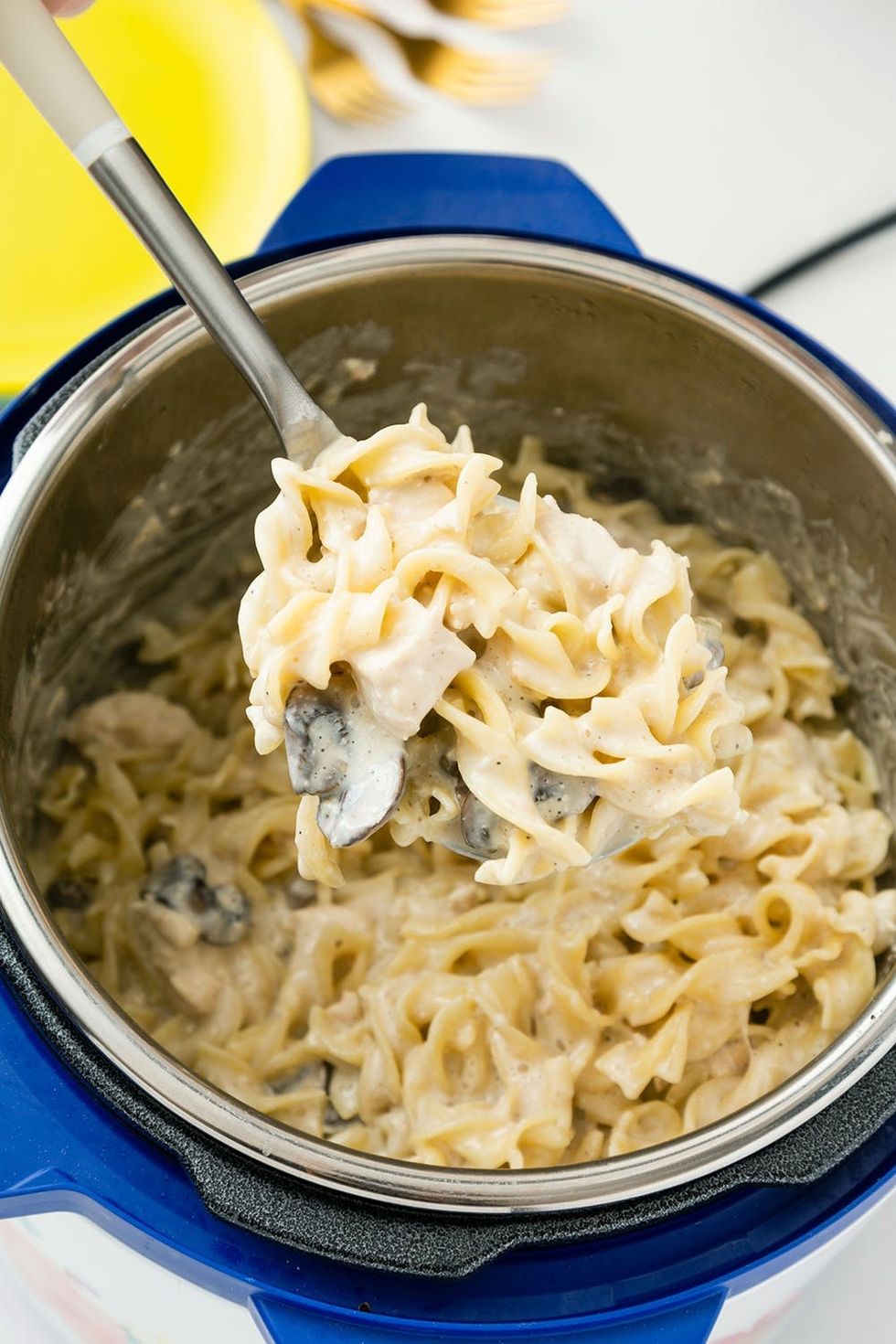 Slow-Cooker Stroganoff Recipe