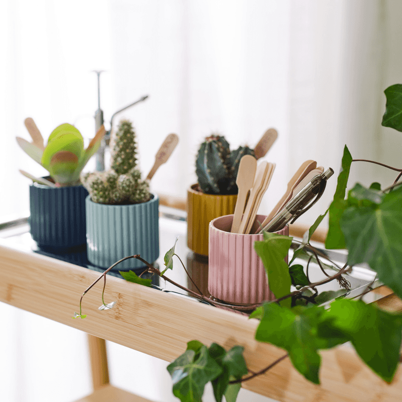 Plant Parents Rejoice: IKEA's DAKSJUS Collection! - Brit + Co