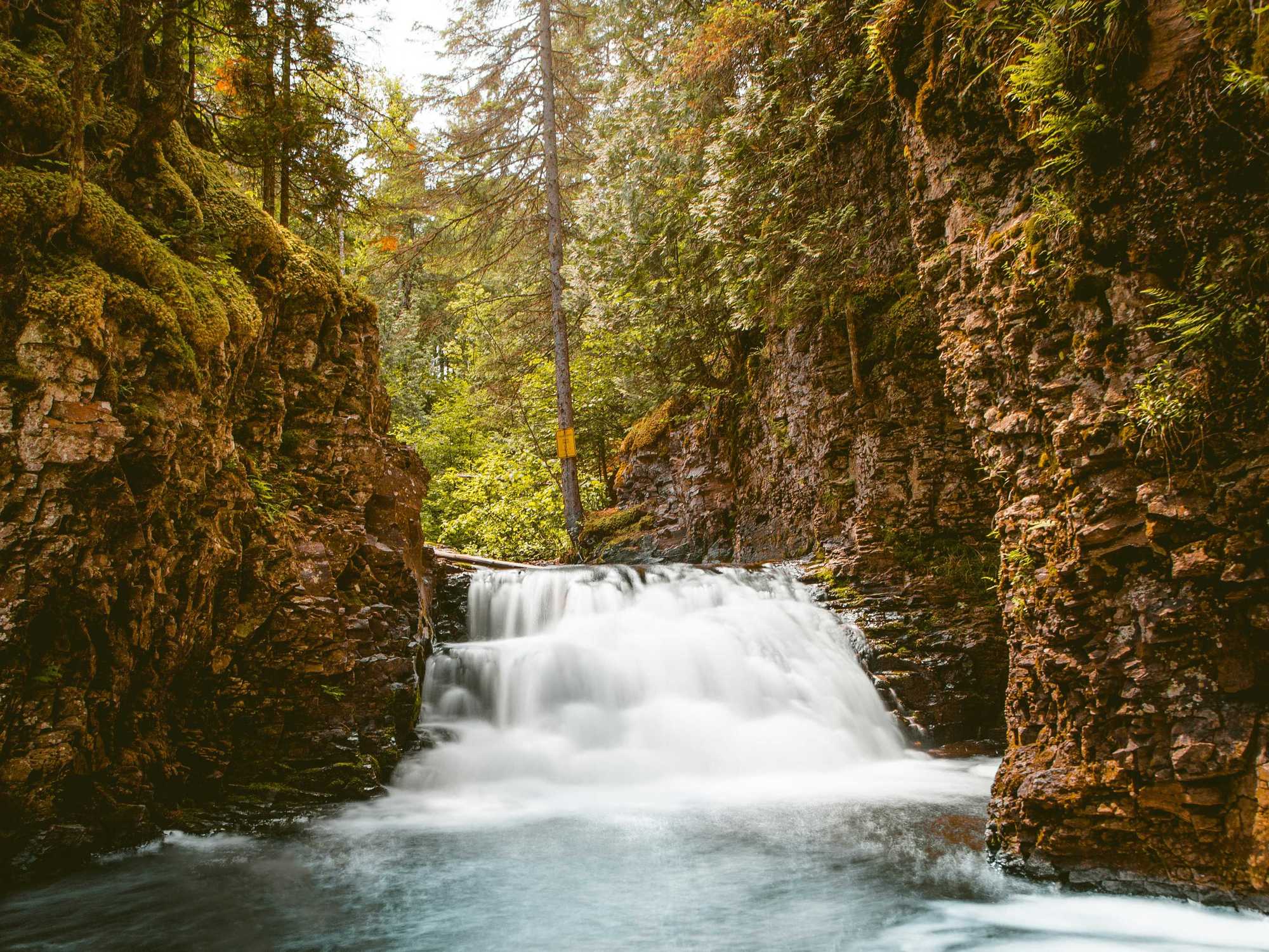 Small waterfall flowing through a lush, rocky forest canyon.