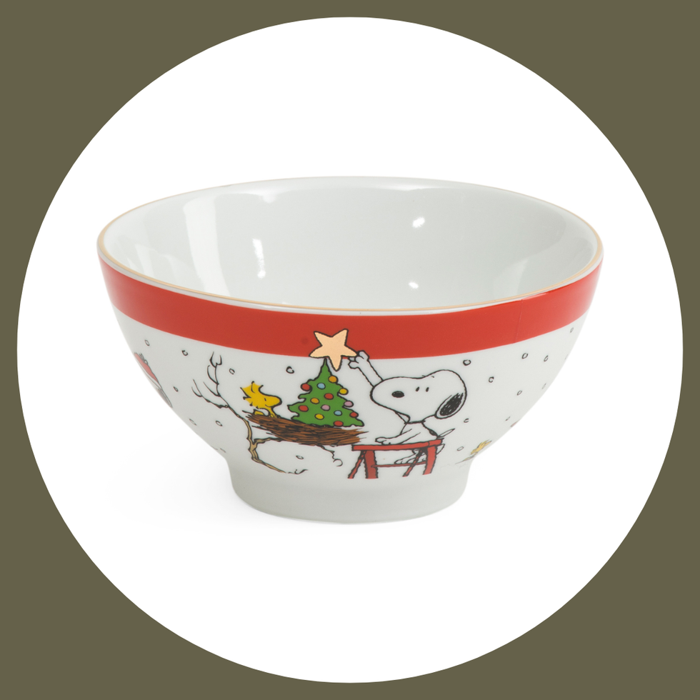 Snoopy And Woodstock Holiday Spirit Cereal Bowl