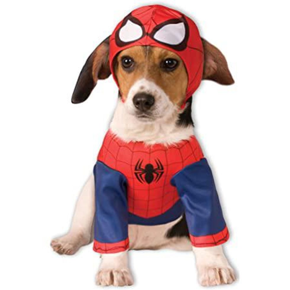 Spider Man dog costume