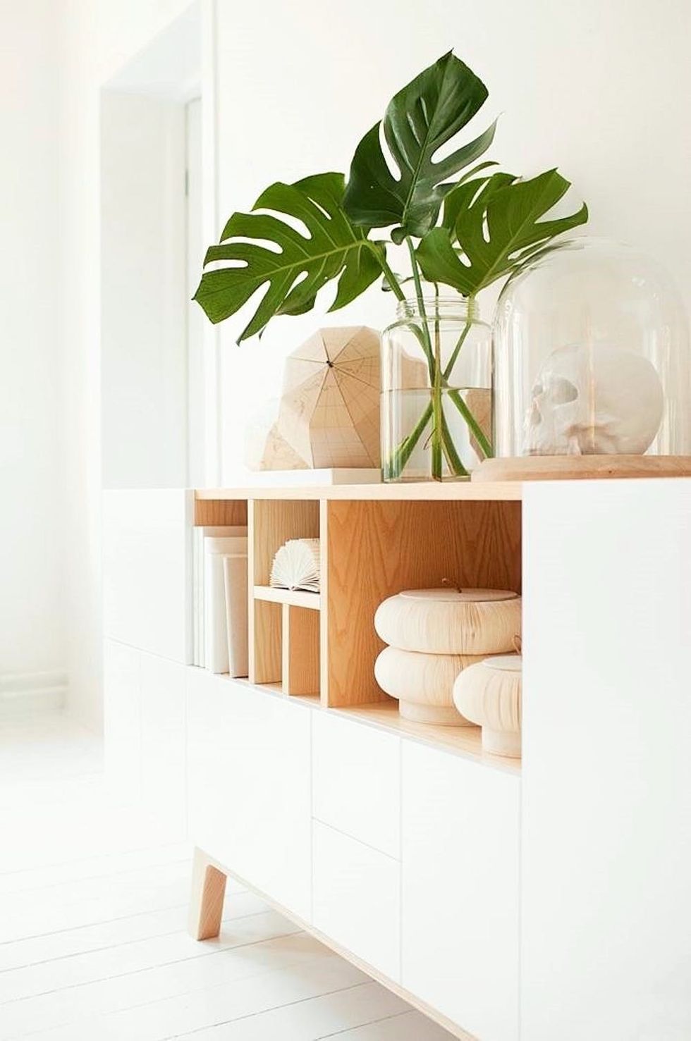 Split Leaf Philodendron