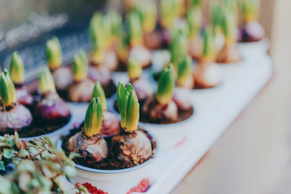 Martha Stewart’s Best Fall Gardening Tips Prove Anyone Can Be a Green Thumb