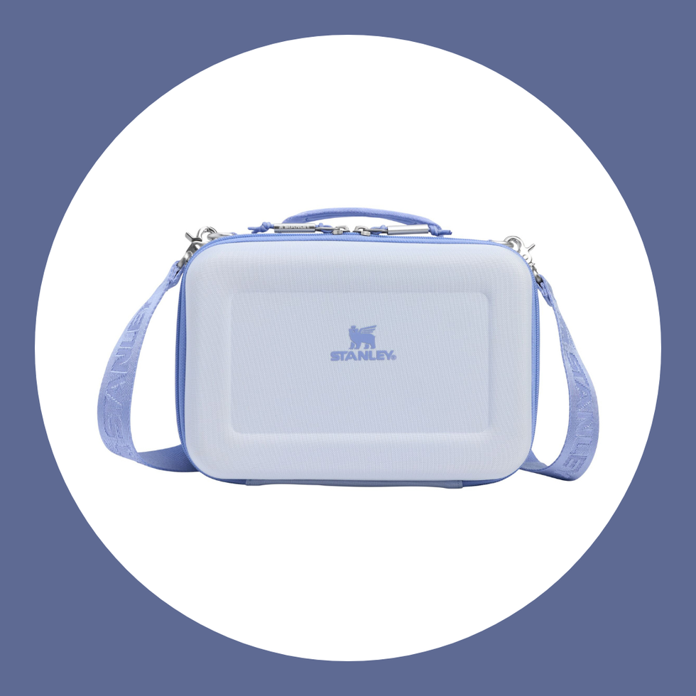 Stanley All Day Mini Lunch Box in Dew Drop