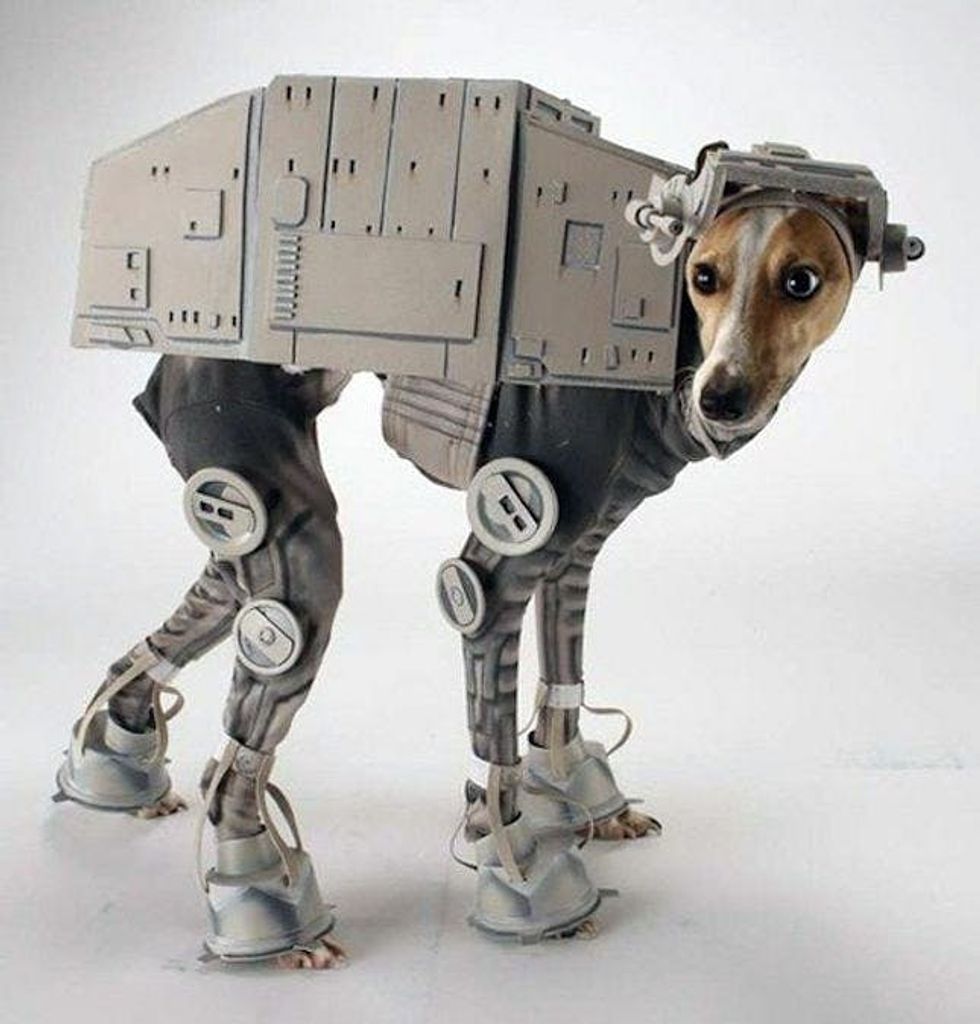 star wars dog costume