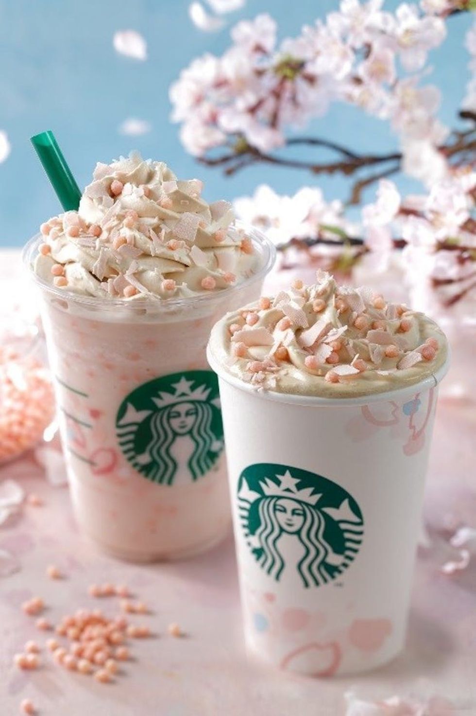 Starbucks Sakura Cherry Blossom drinks
