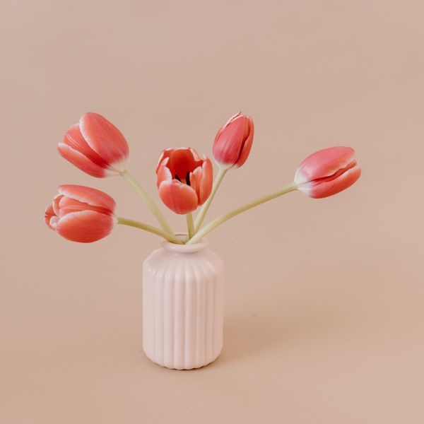stems of red tulips in pink vase