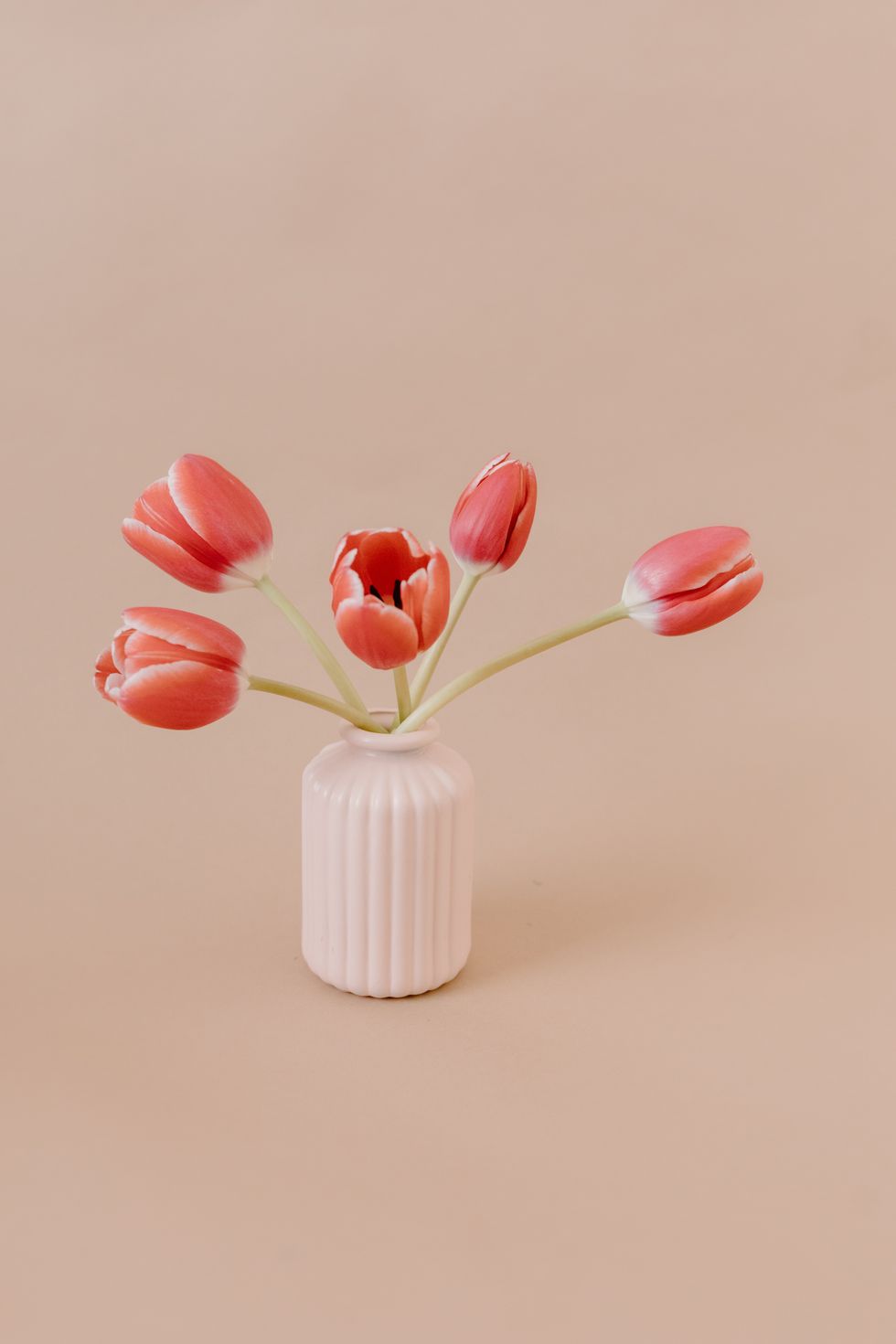 How To Care For Tulips So They Stay Fresher For Longer Brit + Co