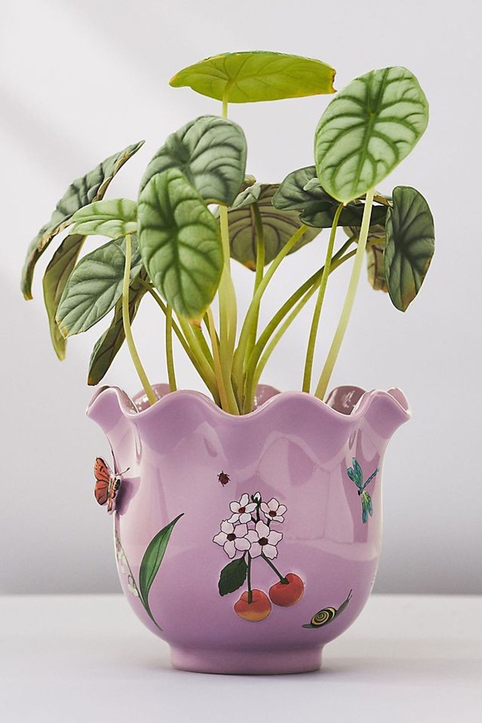 step mom gifts for mothers day Anthropologie Faye Planter