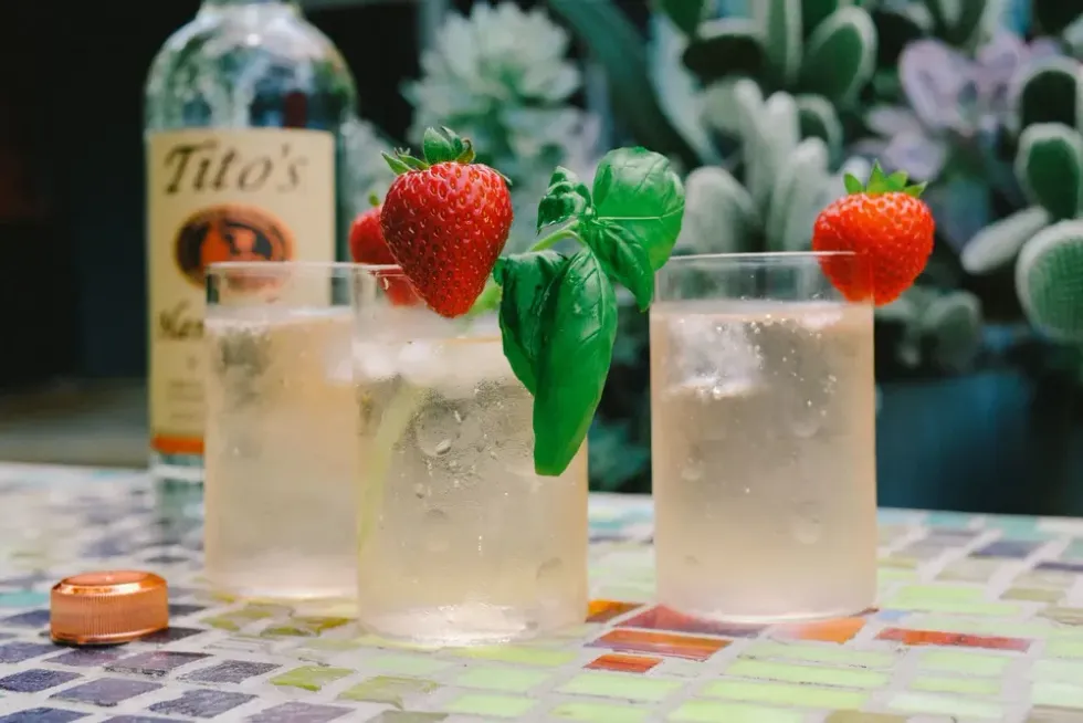 Strawberry Basil Spritzer