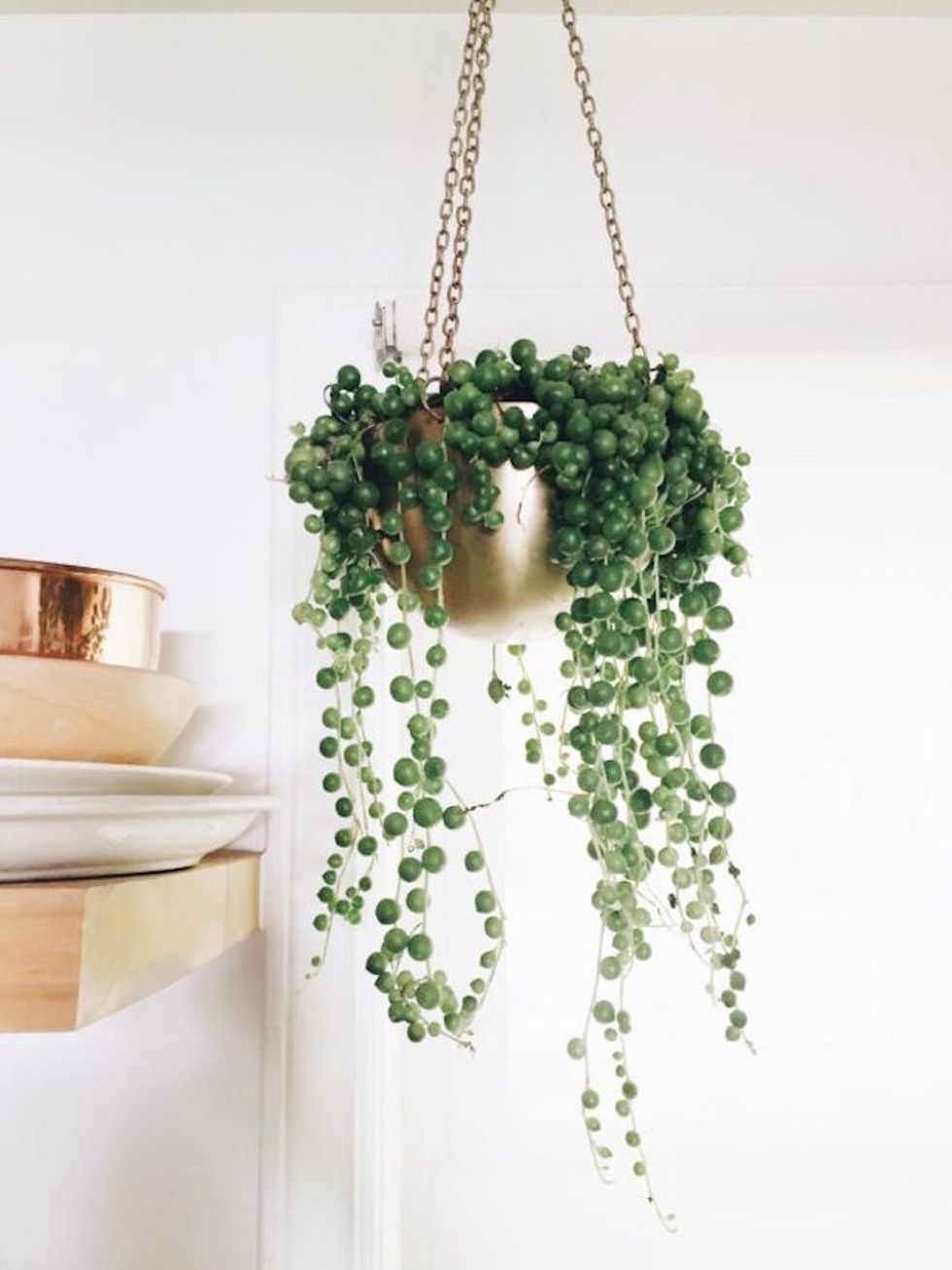 String of Pearls